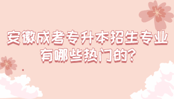 安徽成考專升本招生專業(yè)有哪些熱門的