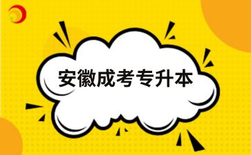 2024年安徽成考專升本學(xué)前教育專業(yè)考試內(nèi)容有什么