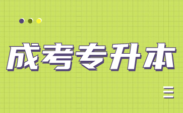 安徽成考專升本英語怎么備考？